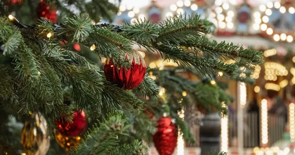 Top Seasonal Festivals in Oceanside, CA: Dates, Highlights & Travel Tips
